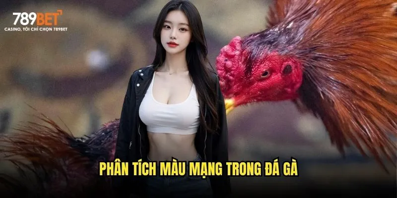 Phân tích màu mạng trong đá gà