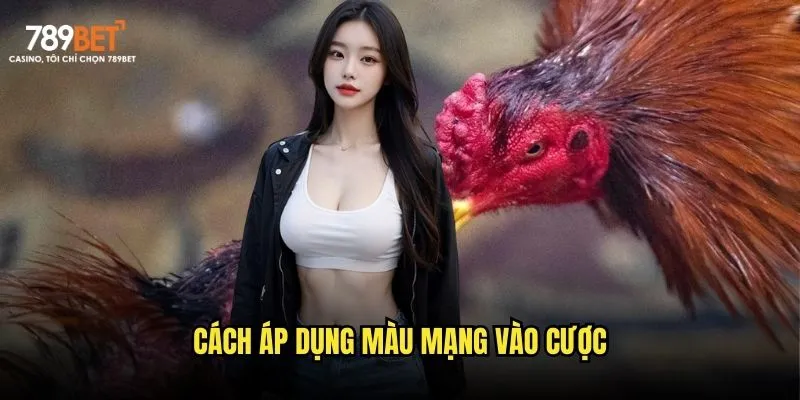 Cách áp dụng màu mạng vào cược