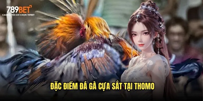 Đặc điểm đá gà cựa sắt tại Thomo
