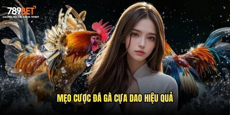 Mẹo cược đá gà cựa dao hiệu quả