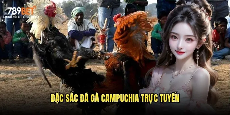 Đặc sắc đá gà Campuchia trực tuyến
