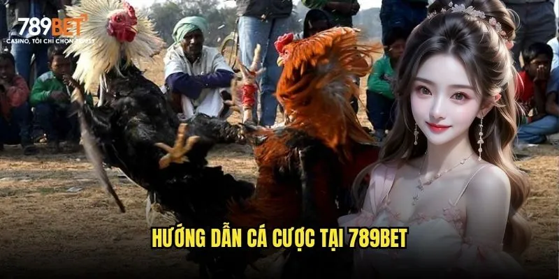 Hướng dẫn cá cược tại 789bet